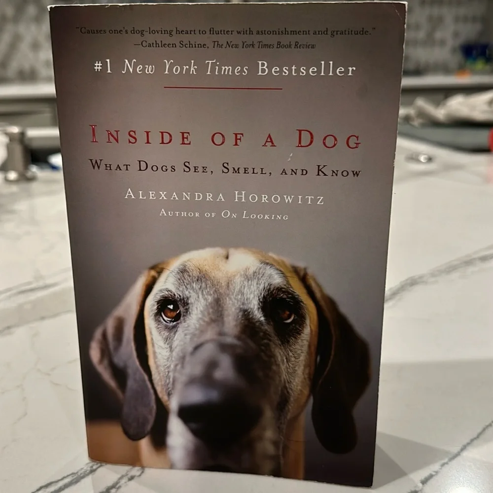 All about Digs book. #1 Bestseller.